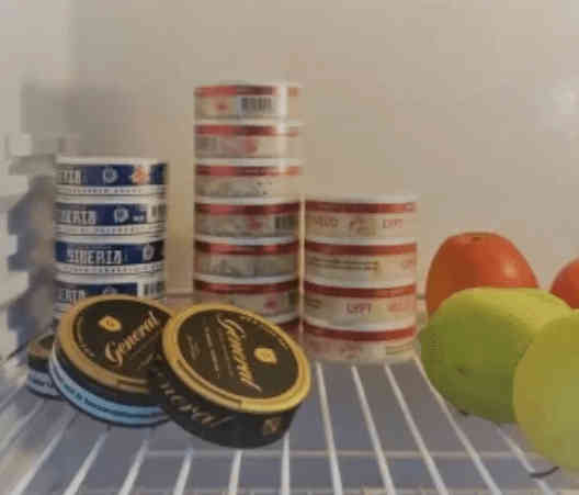 Snus Storage | The Best Methods for storing Snus